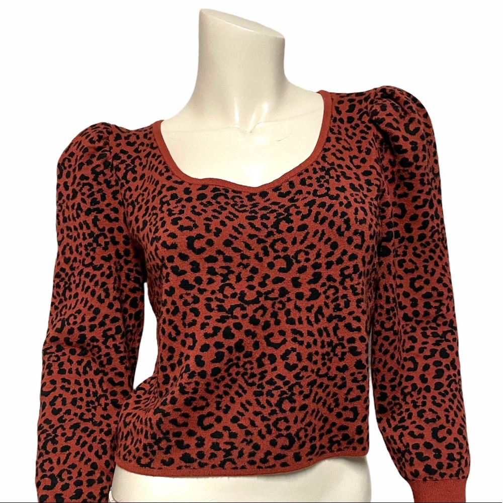 Express LG cropped puffy 3/4 sleeve animal top